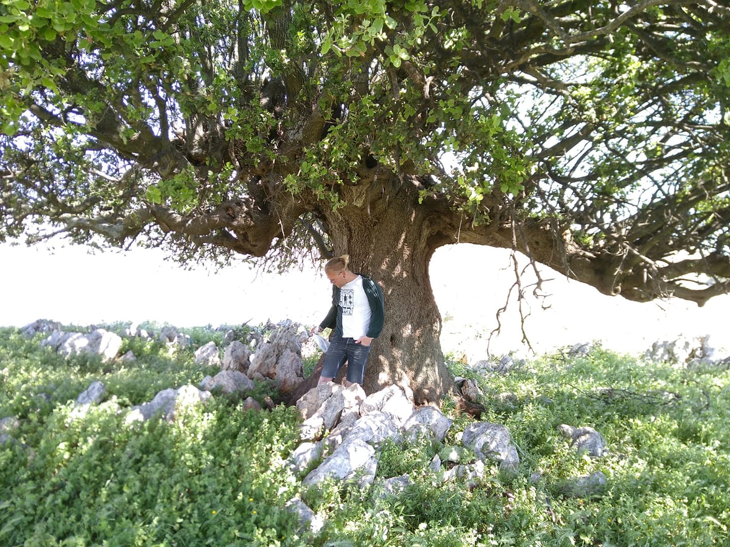Philipp Schuler unter einem Baum